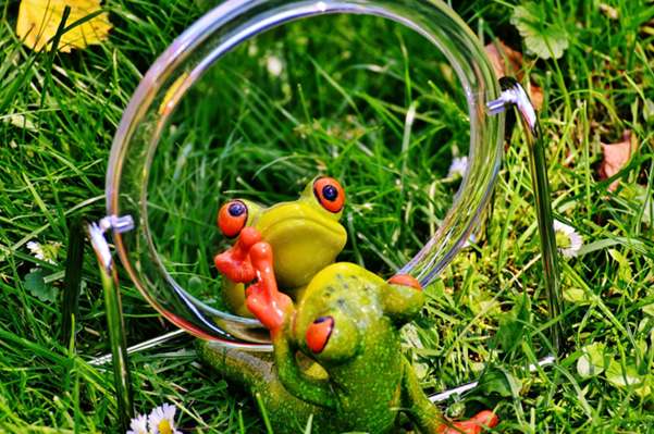 Entrevista Neil Patel
