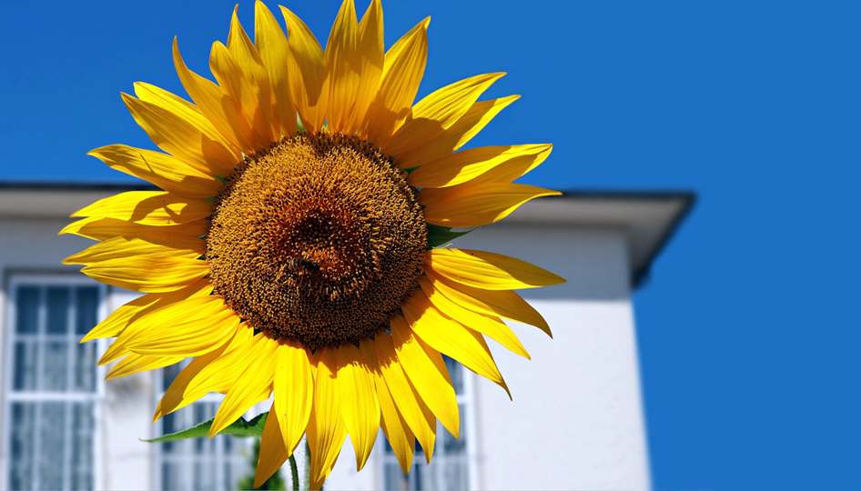 Marketing de afiliados sem um site – é possível?