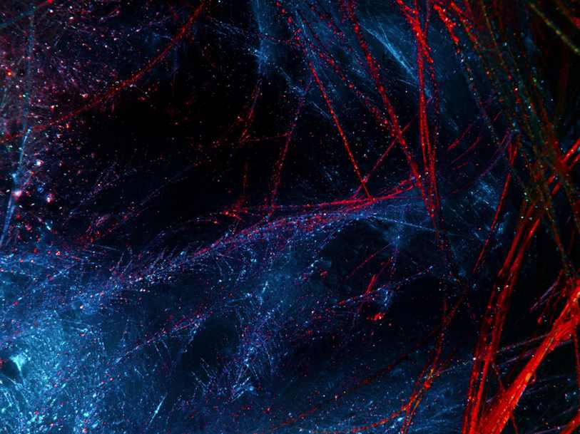 O que é gerenciamento de afiliados e você realmente precisa disso em seu negócio?